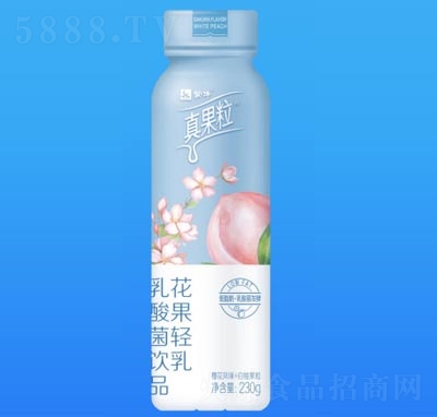 蒙牛真果粒花果輕乳乳酸菌飲品櫻花白桃味230g