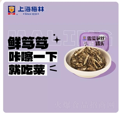 梅林家鄉菜罐頭方便即食雪菜筍絲120g