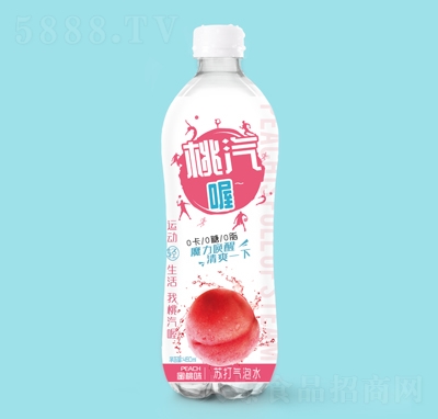 hζKˮ480ml