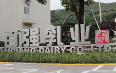 百強乳業